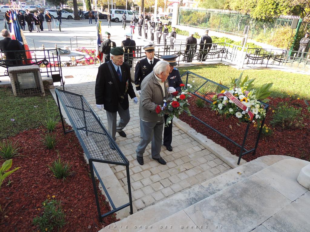 2022 12 05 TOULON HOMMAGE AUX MORTS POUR LA FRANCE EN AFN (57).JPG -           